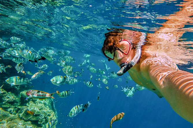 Cabo San Lucas Boat Tour with Snorkeling, Open Bar, and Lunch - Lunch and open bar: the onboard combo that makes the whole thing feel easy