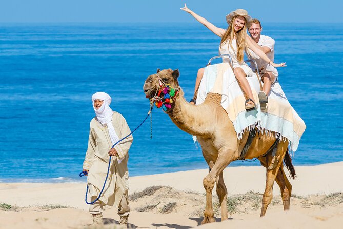 Cabo San Lucas Camel and Horseback Ride with ATV Adventure - Guides Matter: The Names You’ll Hear and Why They Change the Day