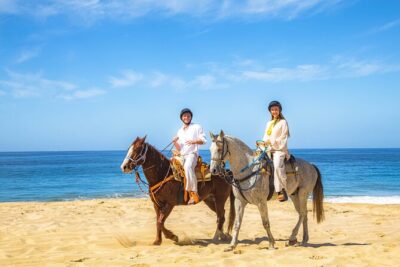 Cabo San Lucas Camel and Horseback Ride with ATV Adventure - Playa Migriño: Desert ATV, Camel Encounter, and Beach Horse Time