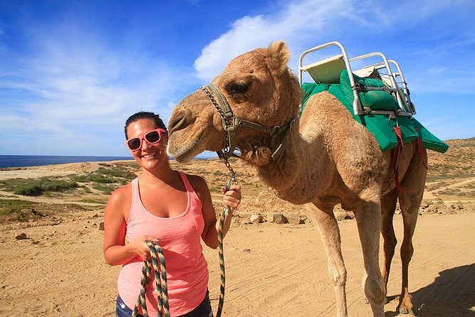Cabo San Lucas Camel Ride and Encounter on Beach and Desert - Quick take: what’s most worth your attention