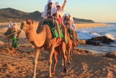 Cabo San Lucas Camel Ride and Encounter on Beach and Desert - Camel Ride by the Pacific: what you’re really buying