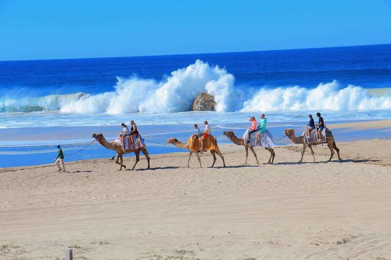 Cabo San Lucas: Camel Ride & Off-Road UTV Combo Adventure - Key Things I’d Bet You’ll Enjoy