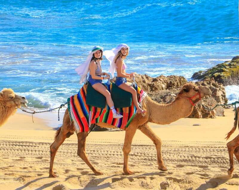 Cabo San Lucas: Camel Ride & Off-Road UTV Combo Adventure - Who Should Book This Cabo Camel and UTV Combo