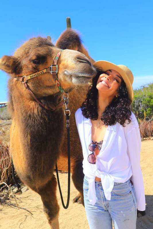 Cabo San Lucas: Camel Ride & Off-Road UTV Combo Adventure - Photos, Phones, and the Extra Costs That Catch People Off Guard