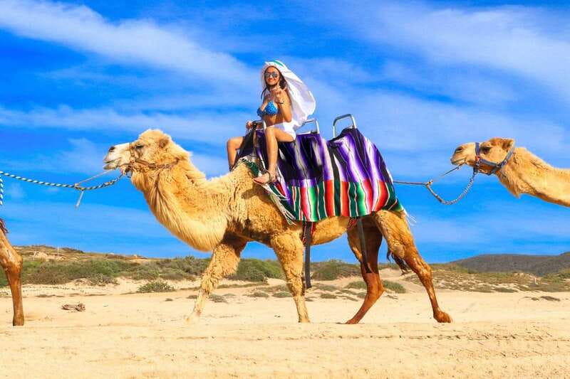 Cabo San Lucas: Camel Ride & Off-Road UTV Combo Adventure - Transportation Timing: What Works, What Can Feel Long