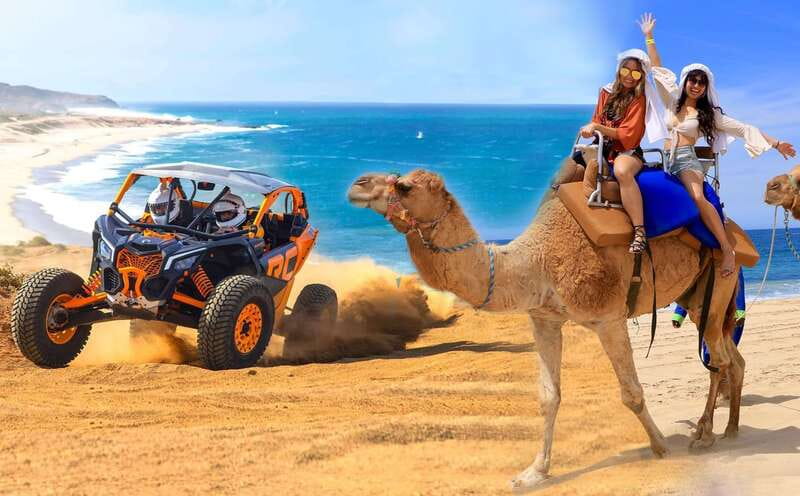 Cabo San Lucas: Camel Ride & Off-Road UTV Combo Adventure - Hotel Pickup That Sets the Tone for the Whole Day