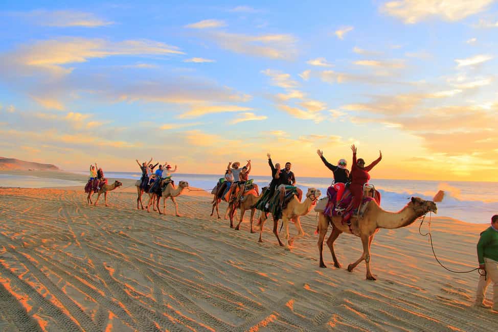 Cabo San Lucas: Camel Ride on the Beach - Why This Cabo Camel Ride Feels Like More Than a Ride