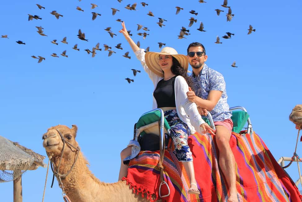 Cabo San Lucas: Camel Ride on the Beach - Who Should Book This Camel Ride Adventure