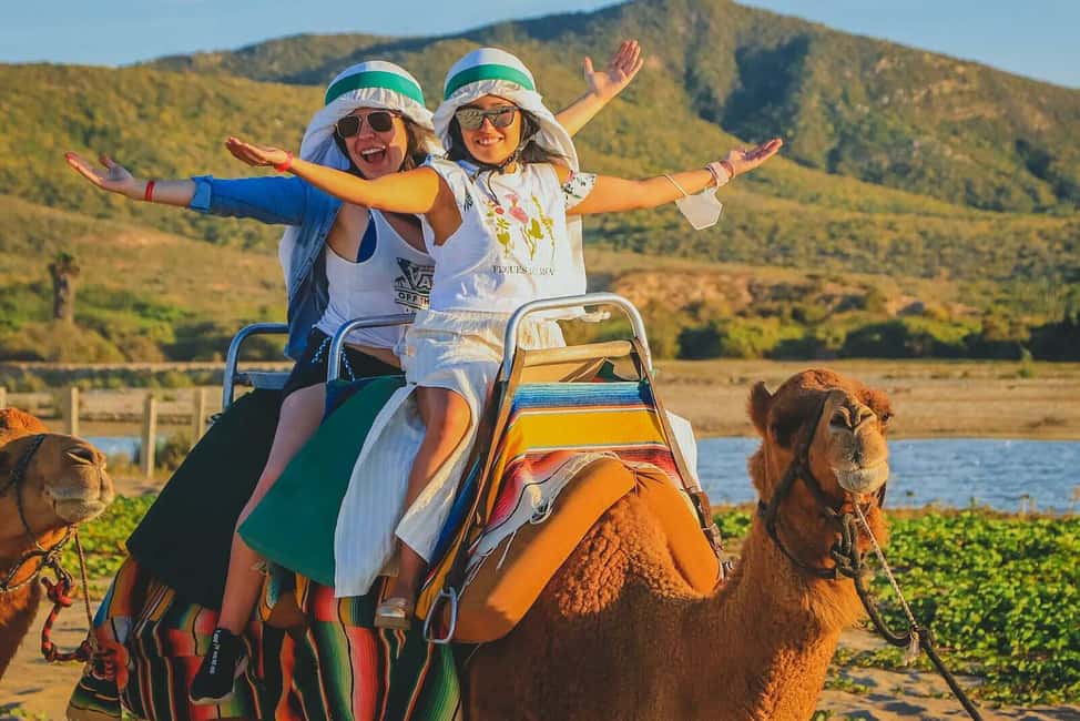 Cabo San Lucas: Camel Ride on the Beach - Migriño Beach Desert Safari Flow: How the 2 Hours Typically Unfold