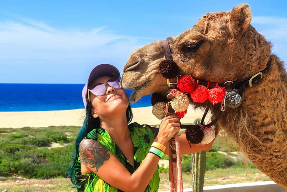 Cabo San Lucas: Camel Ride on the Beach - The Short Nature Hike in the Ecological Reserve