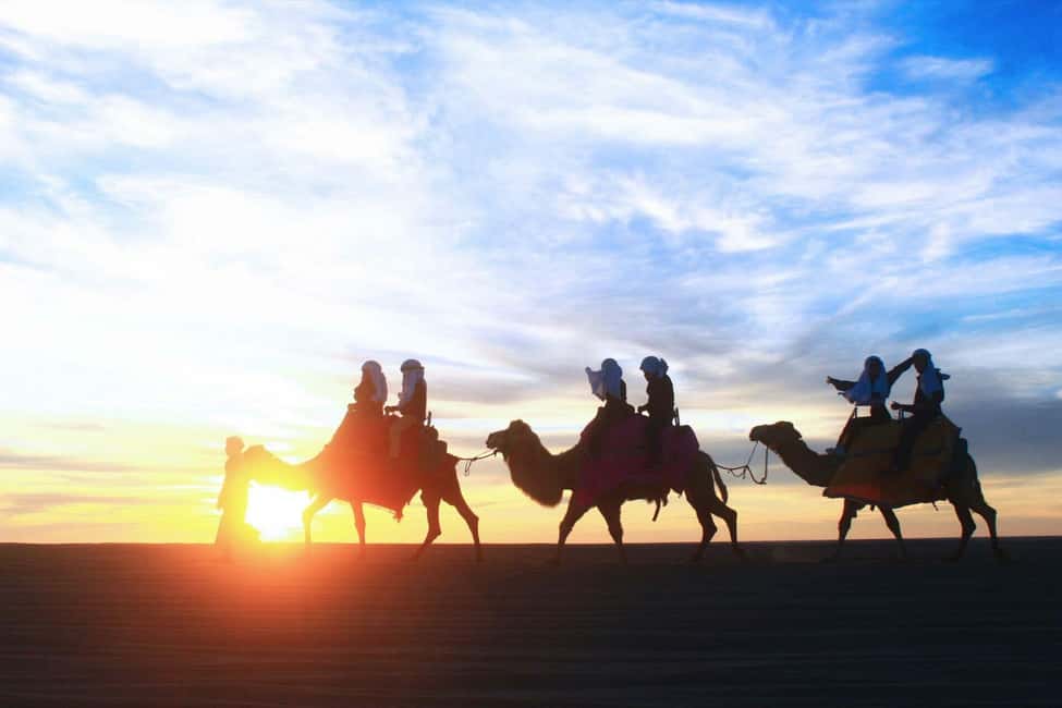 Cabo San Lucas: Camel Ride on the Beach - Mexican Buffet: What You’ll Actually Eat
