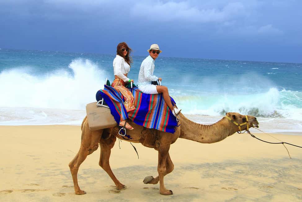 Cabo San Lucas: Camel Ride on the Beach - Price and Real Value: What $114 Buys (and What Costs Extra)