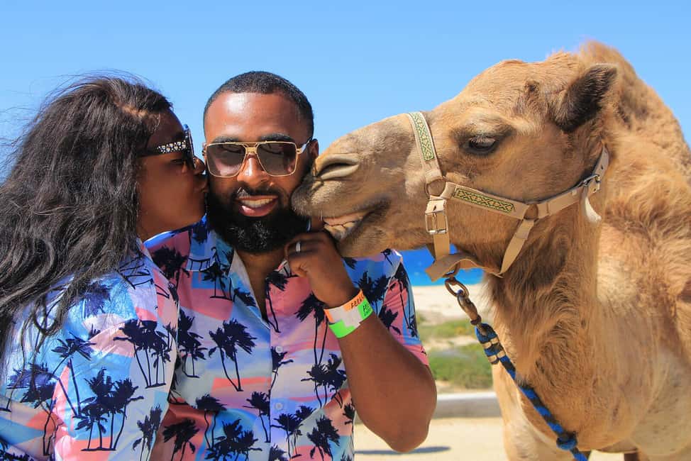 Cabo San Lucas: Camel Ride on the Beach - Getting Picked Up: How Not to Miss the Shuttle
