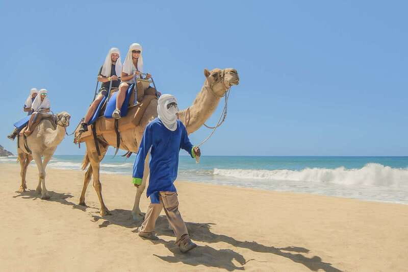 Cabo San Lucas: Camel Safari Tour with Lunch and Tequila - Plan for travel time and cash extras