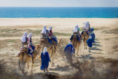 Cabo San Lucas: Camel Safari Tour with Lunch and Tequila - The Setting: a ranch day with real Baja ocean air