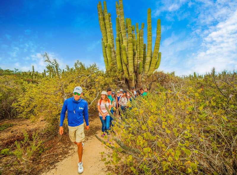 Cabo San Lucas: Camel Safari Tour with Lunch and Tequila - Whale sightings: a seasonal bonus, not the main schedule