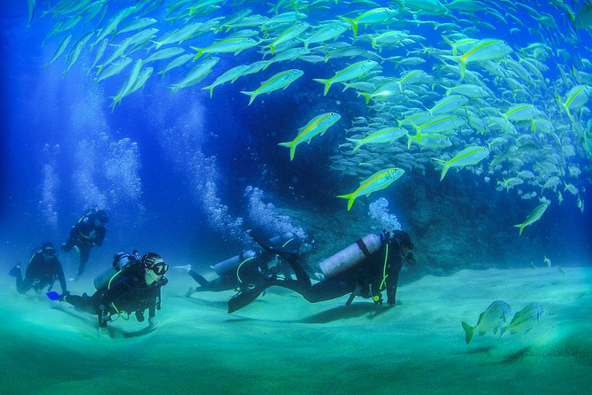 Cabo San Lucas Certified 2 Tank Dive at the Famous Arch and Land's End - Key takeaways before you go