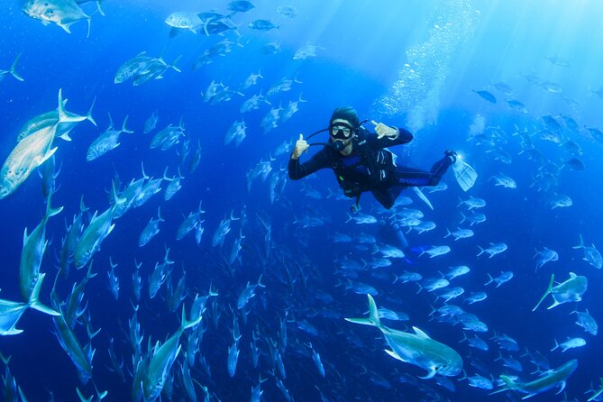 Cabo San Lucas Certified 2 Tank Dive at the Famous Arch and Land's End - Why El Arco and Land’s End are a great match for two underwater sessions