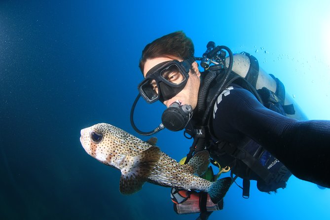 Cabo San Lucas Certified 2 Tank Dive at the Famous Arch and Land's End - Getting picked up in San Jose del Cabo without losing your morning