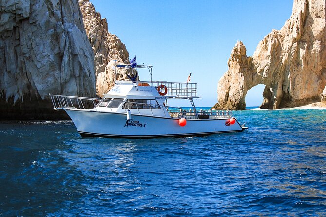 Cabo San Lucas Certified 2 Tank Dive at the Famous Arch and Land's End - What you’re likely to see: sea lions, turtles, nurse sharks, and colored life