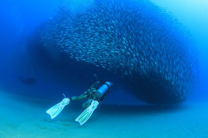 Cabo San Lucas Certified 2 Tank Dive at the Famous Arch and Land's End - Two tanks: how to get the most out of a short day on the water