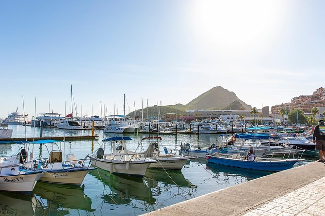 Cabo San Lucas City Tour - Key things to know before you go