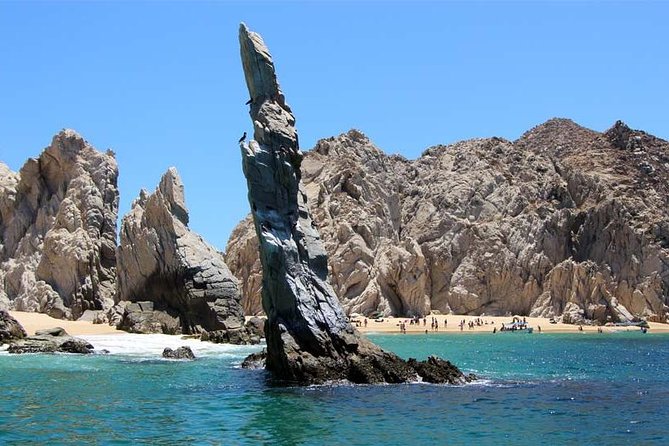 Cabo San Lucas city tour and amazing sea adventure to Lands End! - Key things you’ll notice on this Cabo combo tour