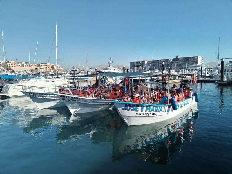 Cabo San Lucas: Classic Tour to the Arch in Glass Bottom - Key moments that make this tour worth your time