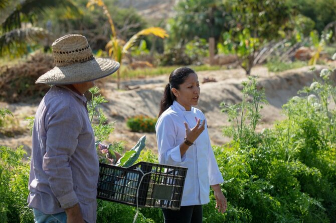 Cabo San Lucas Cooking Classes by Chef Ari - What You’ll Cook: Starter Skills That Set Up the Whole Meal