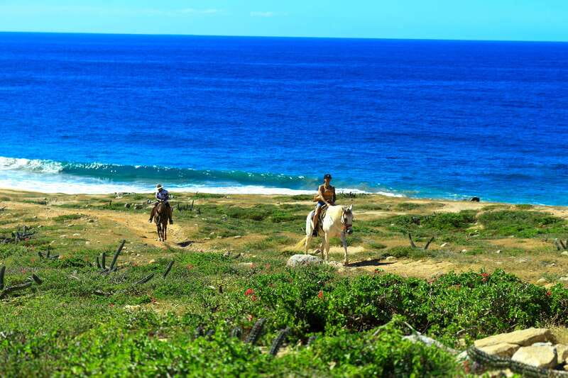 Cabo San Lucas: Horseback Riding in Migriño with Transfers - Key Points Worth Knowing