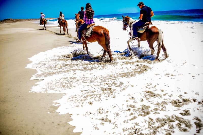 Cabo San Lucas: Horseback Riding in Migriño with Transfers - Cabo Horseback Riding in Migriño: The Big Picture
