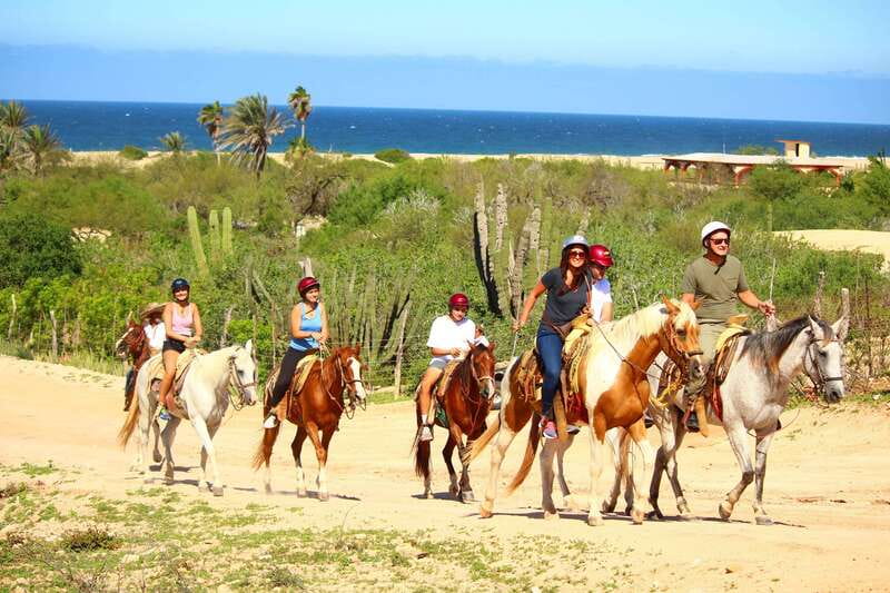 Cabo San Lucas: Horseback Riding in Migriño with Transfers - Welcome + Safety Briefing: What You Should Expect on Arrival