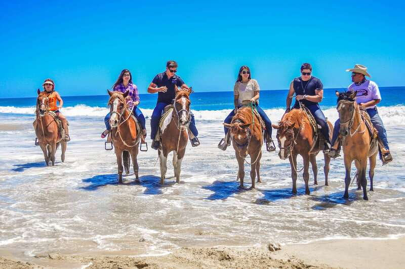 Cabo San Lucas: Horseback Riding in Migriño with Transfers - Your Ride Route: Desert Trails, Rocky Paths, and Beach Sand
