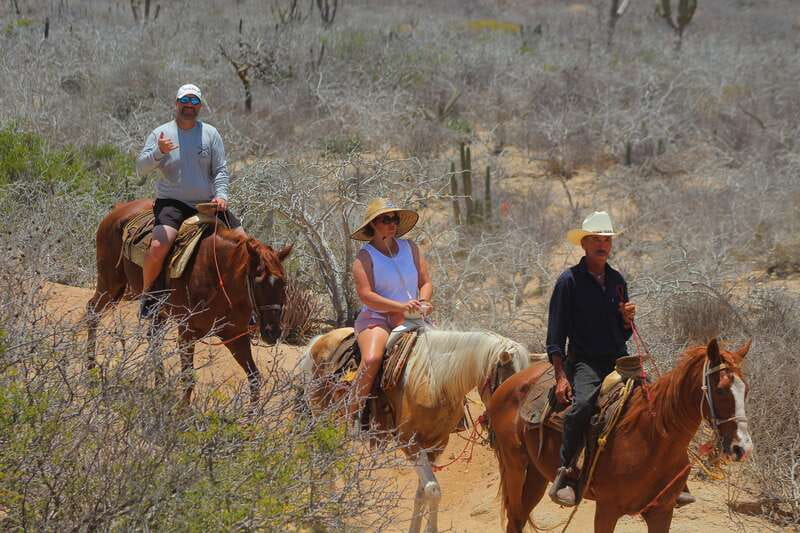 Cabo San Lucas: Horseback Riding in Migriño with Transfers - The End-Stop: Free Time, Photos, and Tequila Tasting