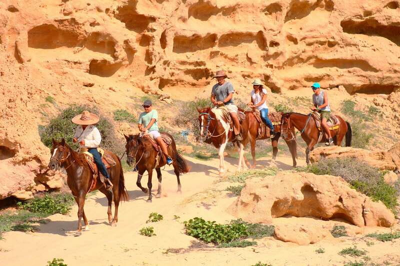 Cabo San Lucas: Horseback Riding in Migriño with Transfers - Price and Value: Is $87 a Good Deal?