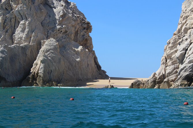 Cabo San Lucas Humpback Whale Watching Tour - Whale searching time: what you can expect for closeness and duration