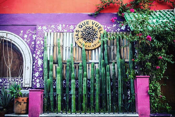 Cabo San Lucas Mezcal Tasting and Cocktail Class - David and other hosts: why the people factor matters