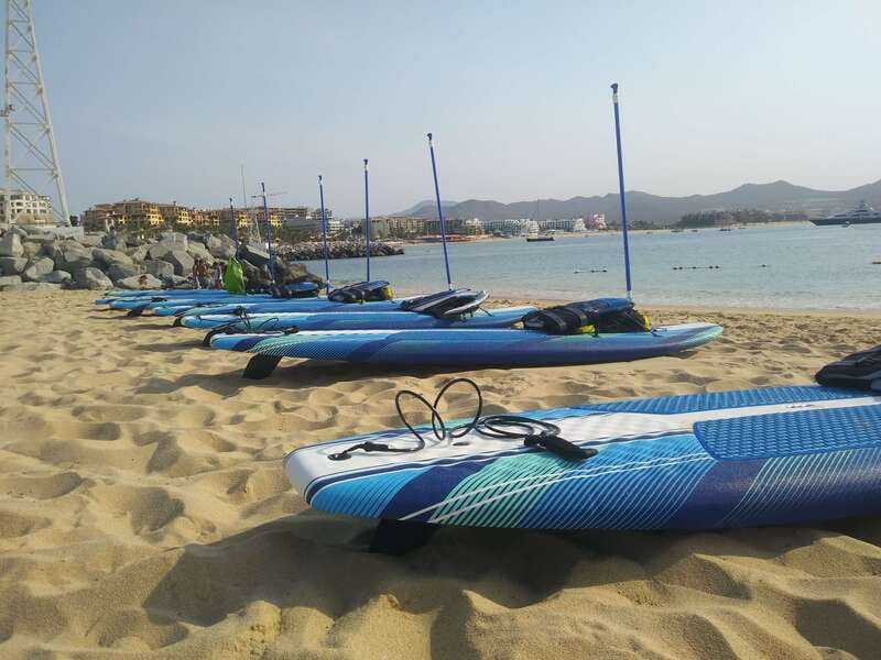 Cabo san Lucas: Paddle Boarding or Kayak and Snorkeling - Snorkeling at Pelican Rock: Why the Water Feels Like an Aquarium