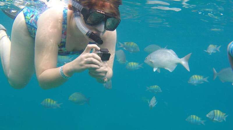 Cabo san Lucas: Paddle Boarding or Kayak and Snorkeling - Chances of Seeing Sea Life: Sea Lions and Even Whales