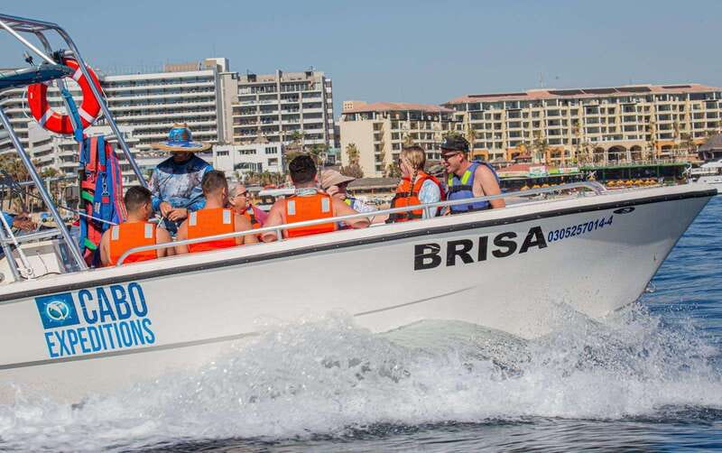 Cabo San Lucas: Parasailing Experience - The landmarks you’ll spot: Arch, Lovers’ Beach, and more