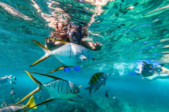 Cabo San Lucas Shopping, Tequila Tasting, and Snorkel Tour - Price and Extra Costs: What $135 Really Buys