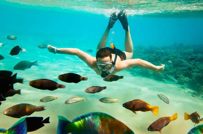 Cabo San Lucas Shopping, Tequila Tasting, and Snorkel Tour - Lunch and the Open Bar: Drinks Included, Buffet Details Vary