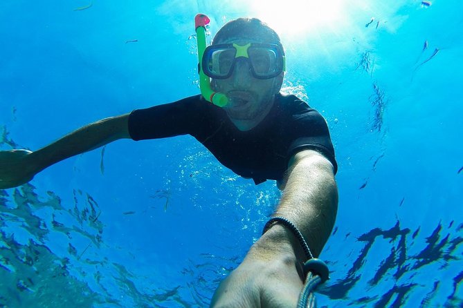 Cabo San Lucas Short Snorkeling Tour with Divemaster Guide - Snorkeling in Cabo’s protected bay: why calm water is a big deal