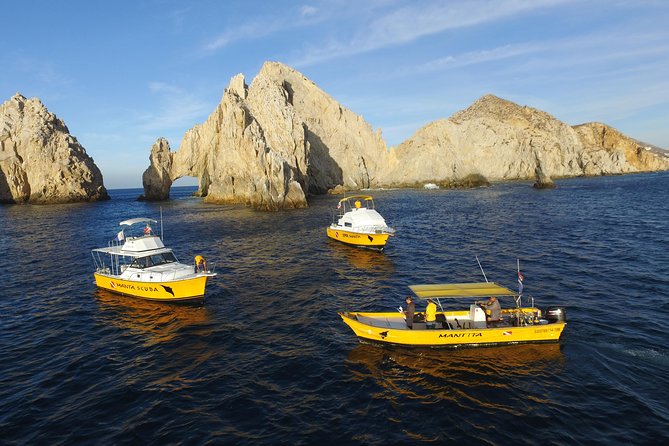 Cabo San Lucas Short Snorkeling Tour with Divemaster Guide - What you’ll see: tropical fish, sea lions, and the Arch and Lovers Beach combo