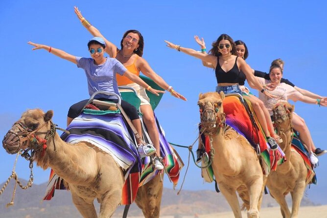 Cabo San Lucas Side by Side and Camel Riding Adventure - Who This Tour Suits Best (And Who Might Want a Different Fit)