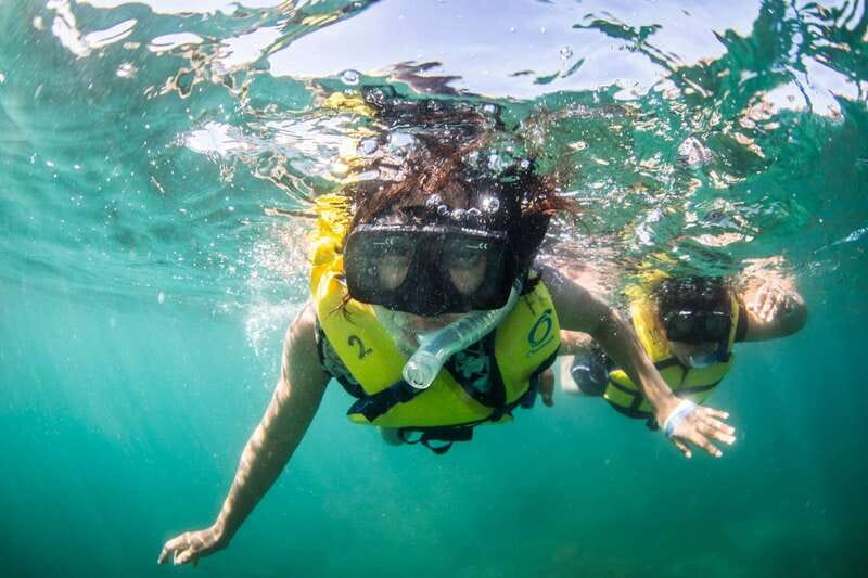 Cabo San Lucas: Snorkel, Lunch and Sail Experience - From Cabo San Lucas Marina to the Arch: Lover’s Beach and Sea Lions