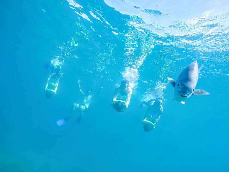 Cabo San Lucas: Snorkel, Paddle-board, and/or Kayak Tour - Key points before you go
