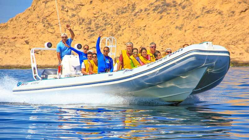 Cabo San Lucas: Snorkel, Paddle-board, and/or Kayak Tour - Cabo San Lucas Bay’s natural aquarium vibe