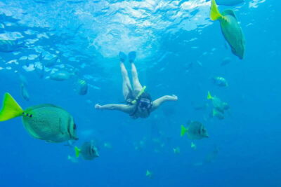 Cabo San Lucas: Snorkel, Paddle-board, and/or Kayak Tour - Pick your gear: snorkel, kayak, paddleboard, or sea scooter