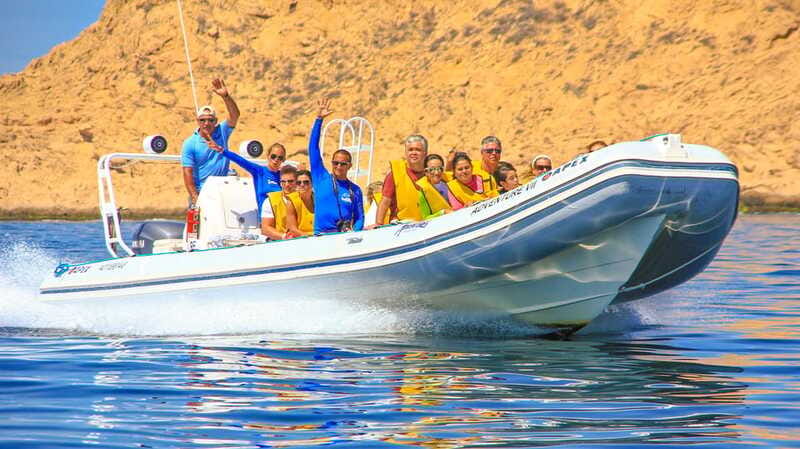 Cabo San Lucas: Snorkel, Paddle-board, and/or Kayak Tour - Underwater time: marine life you can actually hope to see